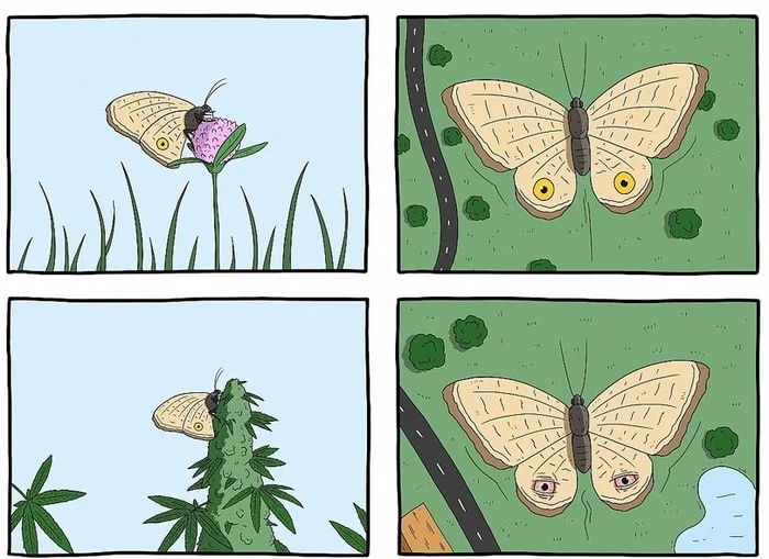 Your eyes are as clear as the sky! (With) - Comics, Butterfly, Eyes, Remi lascault, Marijuana