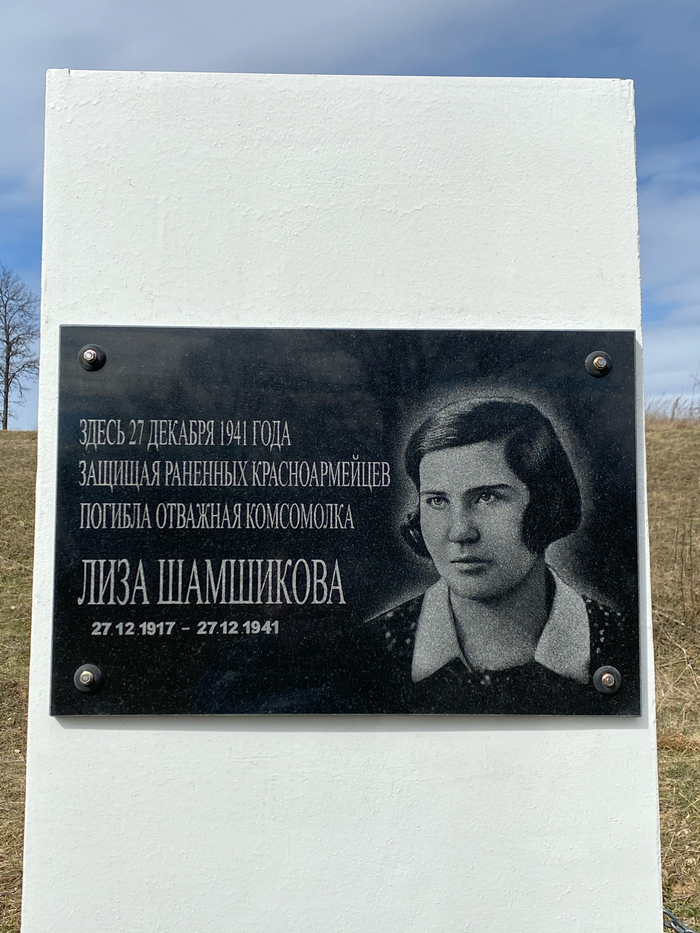 Мдш ул лизы шамшиковой фото