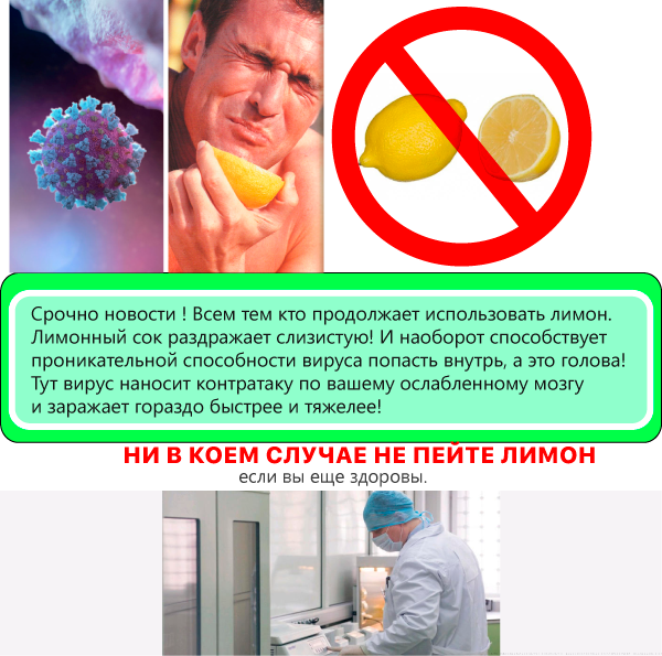 Urgent information for lemongrass!!! - Lemon, Coronavirus, Humor, news