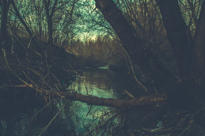 A river in the wilderness. Voronezh - My, Forest, River, The photo, Voronezh, Nature