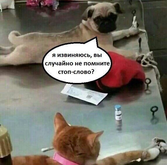 50 shades of veterinary clinic - cat, Dog, Veterinary, Conversation, Longpost