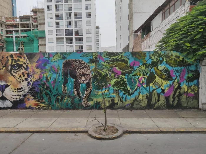 Lima graffiti - My, Graffiti, Peru, Longpost