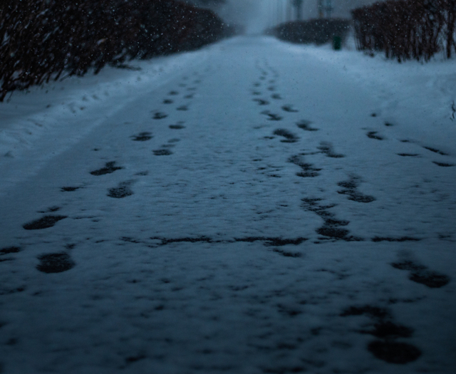 Last year's snow fell - My, The photo, Winter, Snow, March, Longpost