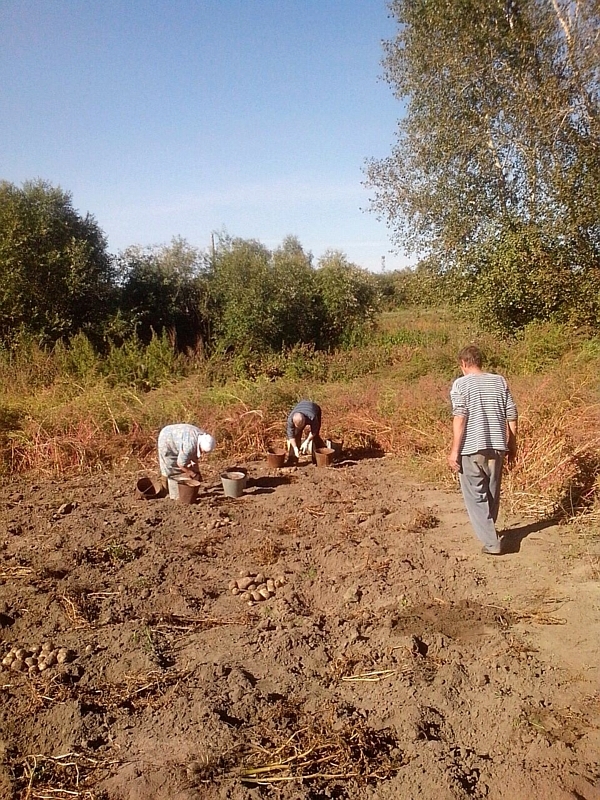 Village life - My, Village, Nostalgia, Longpost