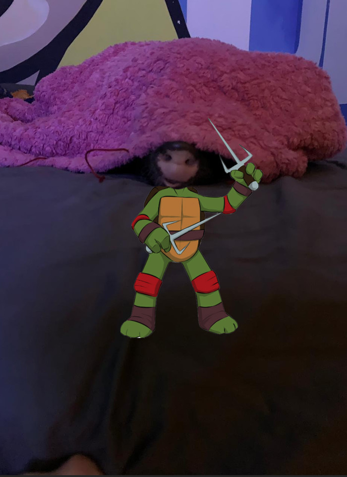  , , , -,  tmnt