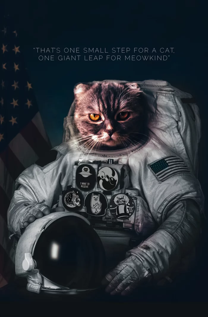 Small step - My, cat, Astronaut, Space, April 12 - Cosmonautics Day, Космонавты, Spacesuit, Photoshop