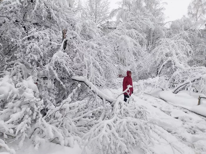 Hello everyone who is having spring! - My, Penza, Palm Sunday, April 12 - Cosmonautics Day, Snow, Spring