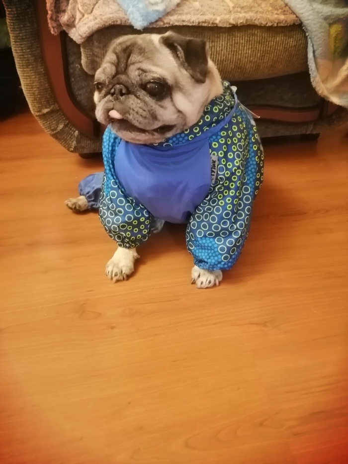 ��� ���� ����������� ����������