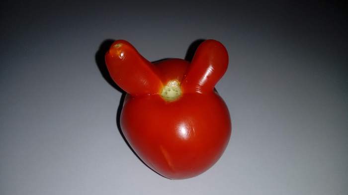 Помидор с ушами