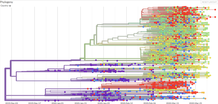 Почему это был не COVID-19