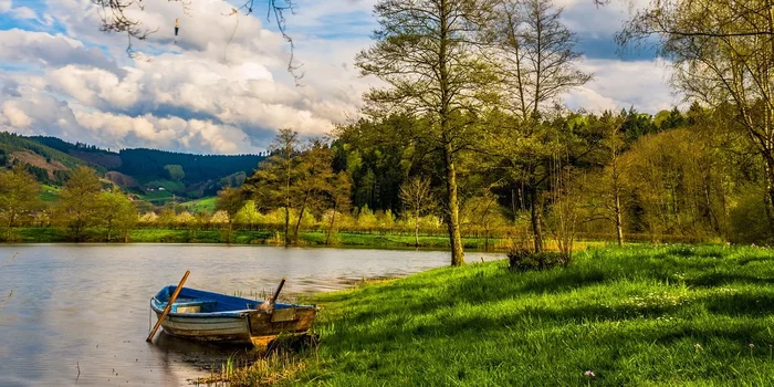 Игра "найди кота" Природа, Фотография, Игры, Photoshop, Кот, Лес, Длиннопост