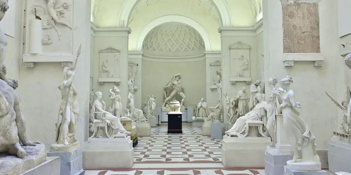 Игра "найди кота" Природа, Фотография, Игры, Photoshop, Кот, Лес, Длиннопост