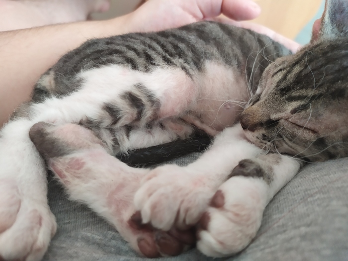 Сёма сфинксеет:)