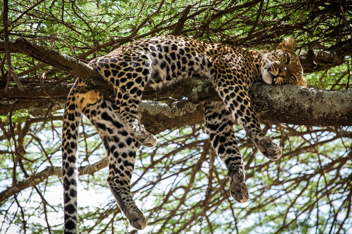 Самоизоляция