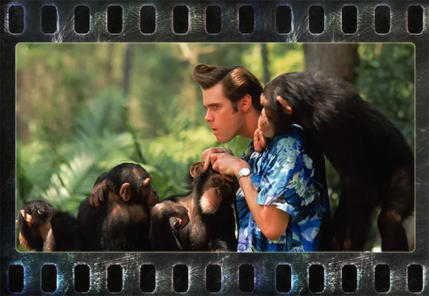 I want to know everything #653. 7 facts about the movie Ace Ventura - Want to know everything, Jim carrey, Ace Ventura, Actors and actresses, Movies, Facts, Interesting, Video, Longpost