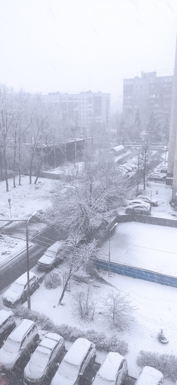 1586828456188929376 Как отправить снег по почте