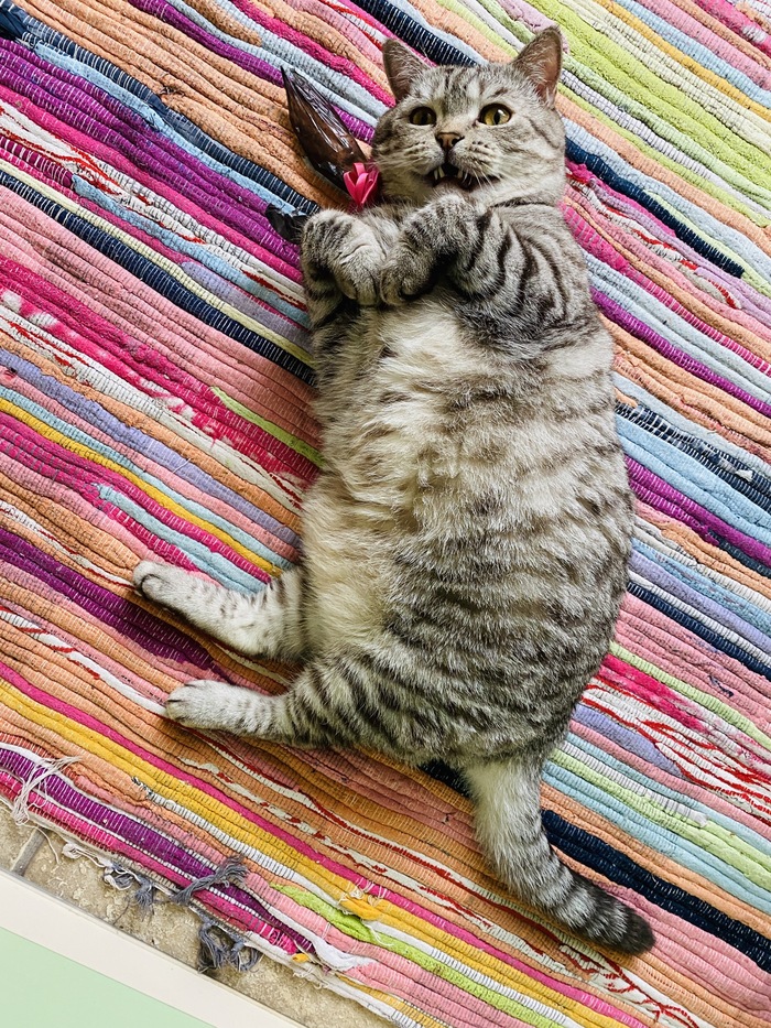 �, ����� ������ ������������)