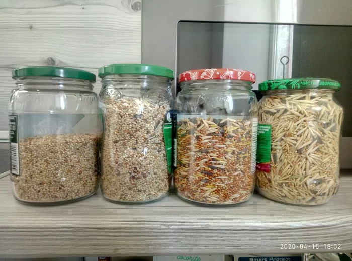 Four bird foods - My, Budgies, Animal feed, Corn, Longpost