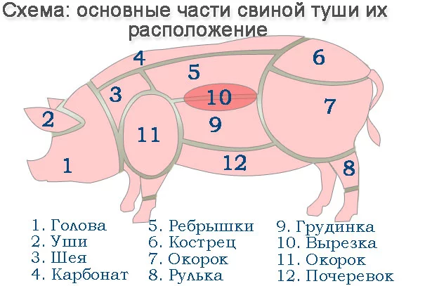 Подчерёвок, пашина, подчревье, подбрюшье, покромка - это что? - Кулинария, Мясо, Разделка, Изысканная кулинария, Продукты, Термины, Длиннопост