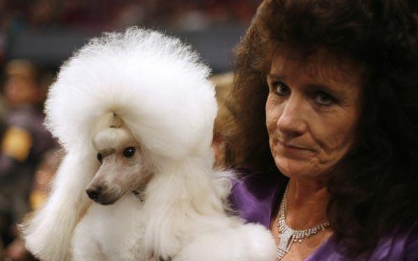 20 People Who Look Exactly Like Their Pets - Animals, Dog, Similarity, Longpost