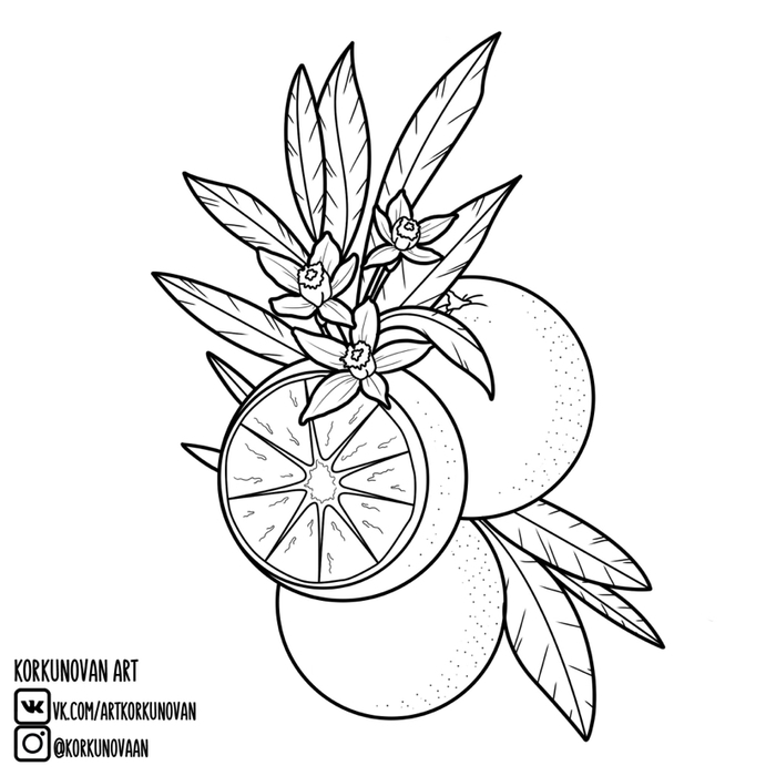 Эскиз апельсин | Пикабу