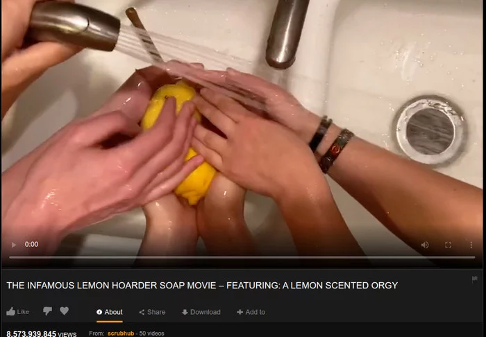 Pornhub launched Scrubhub, a new site with videos about hand washing - Pornhub, Purity, Video