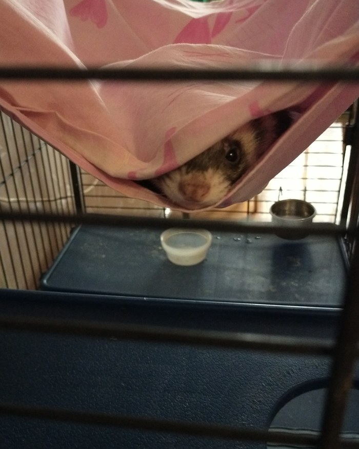 ������������