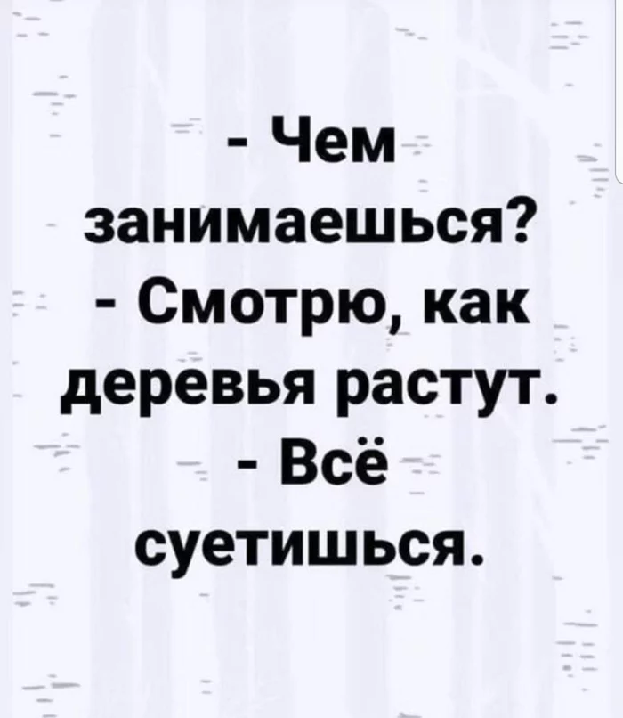 Непоседа - Суета внешнего мира, Суета, Созерцание