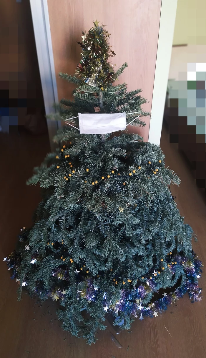 A prickly question - My, New Year, Self-isolation, Christmas tree, Did not have time