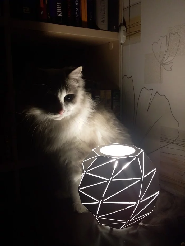 Catolamp - My, cat, Cat with lamp