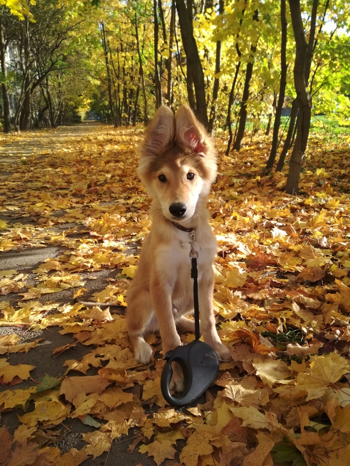 ������� ���