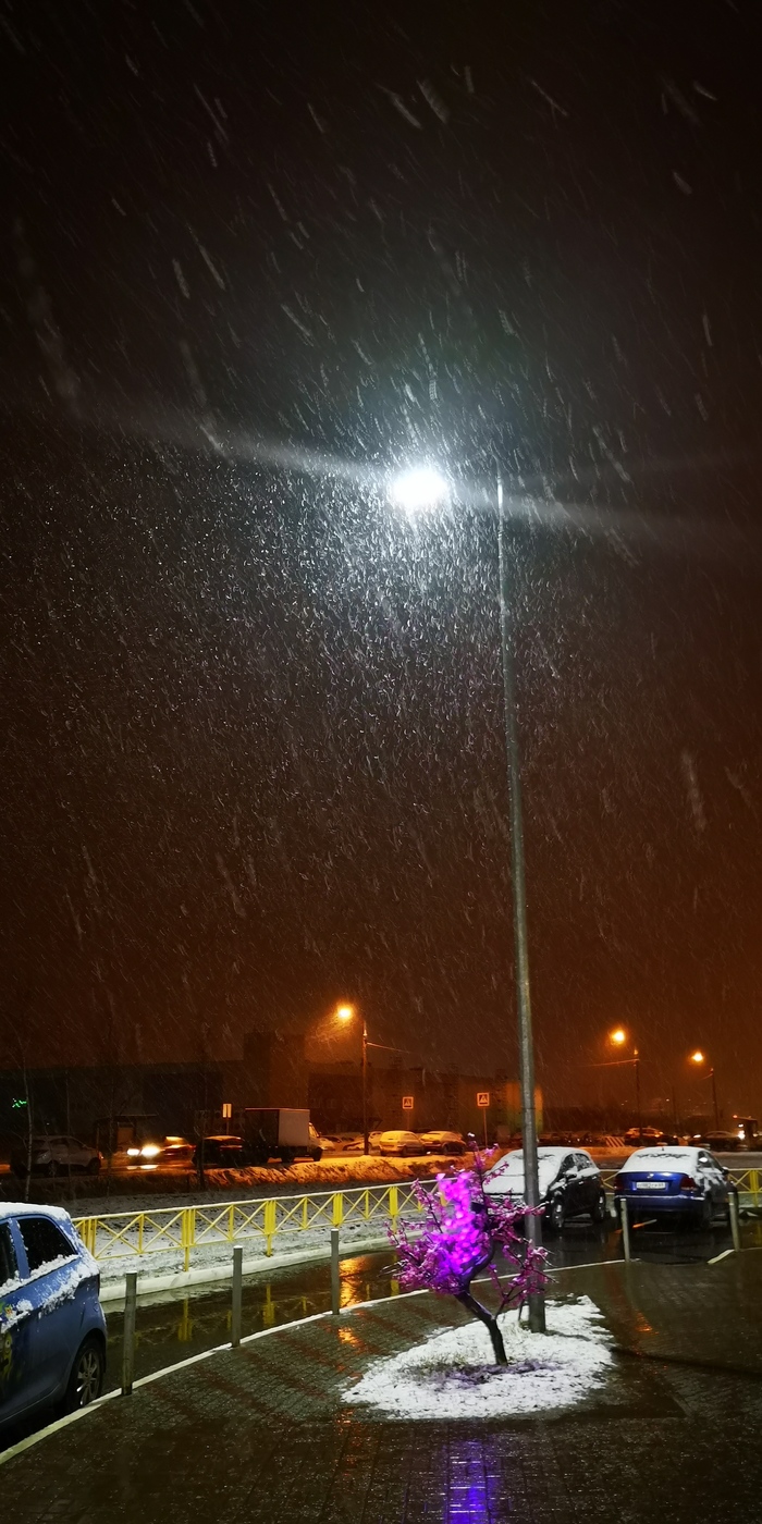 Погода как в ноябре