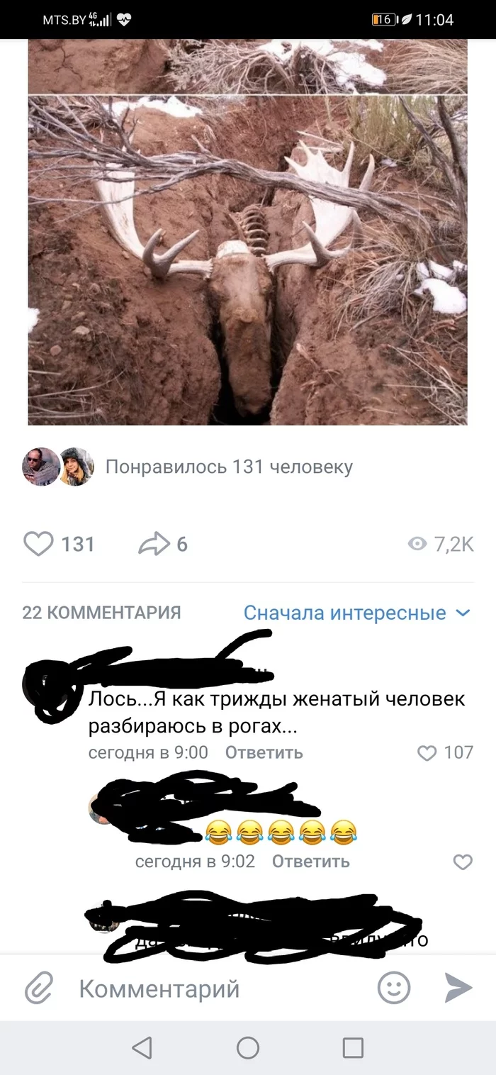 Опыт... - ВКонтакте, Скриншот, Длиннопост, Комментарии, Олени, Рога, Измена