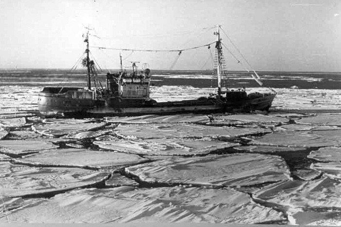 Трагедия Беринговоморской экспедиции 1965 Катастрофа, СССР, Корабль, История, Траулер, Длиннопост, Рыболовное судно