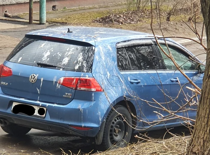 Unsuccessfully parked - My, Parking, Birds, Crap