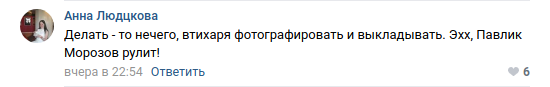 Peter. Self-isolation. Snitches - Coronavirus, Self-isolation, Cattle, Informer, Saint Petersburg, Primorsky District, In contact with, Comments, Longpost