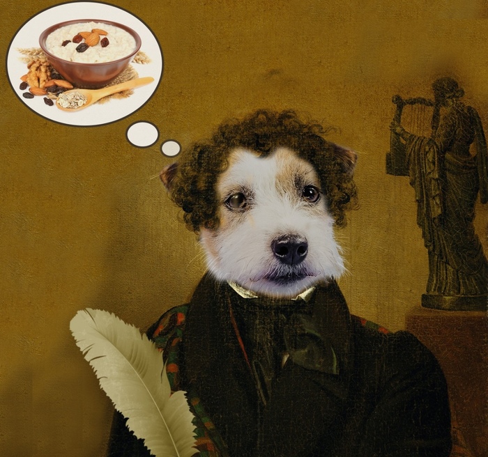 ��������� �� ���� ��� ��� ��� ������: