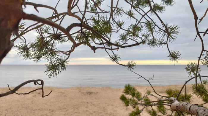 Karelia now. Ladoga - My, Карелия, Nature, Ladoga lake, Forest, Beach, Longpost