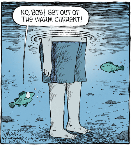 Bob is still inexperienced - Comics, Speedbump, Under the water