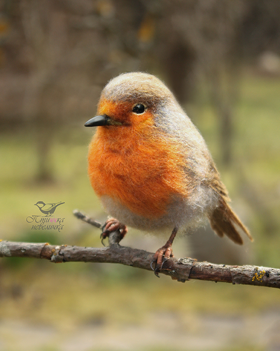 Robin. Dry felting - My, Needlework, Needlework without process, Creation, Author's toy, Handmade, Dry felting, Longpost