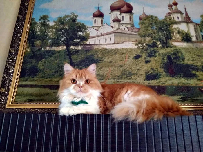 More beautiful than a picture - My, Painting, Persian cat, Sight, Church, Redheads, cat