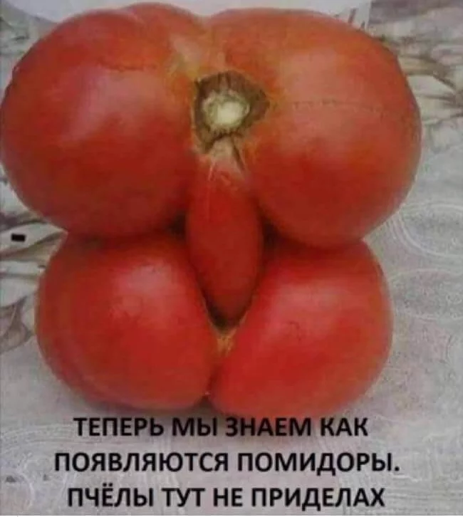 Can you get a ban for this? - Tomatoes, Vegetables, Porn