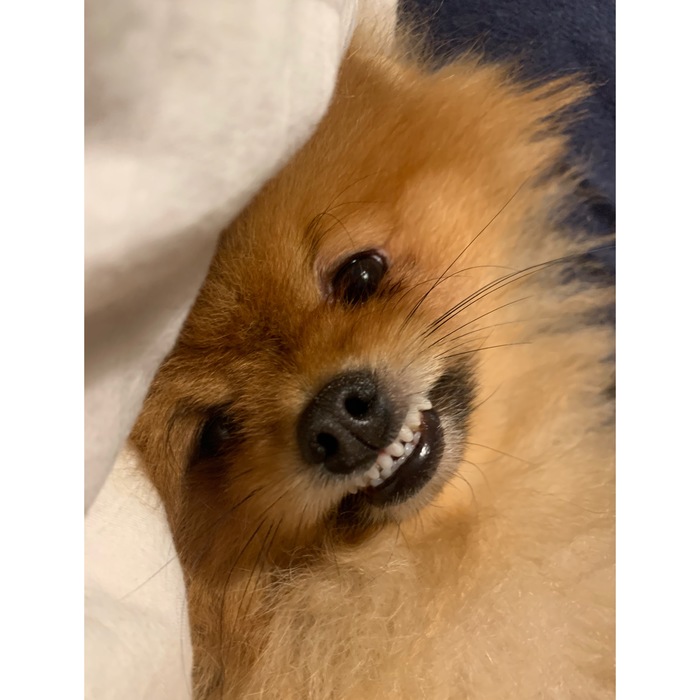 �������, ����� �� ��� ������� �� ������?