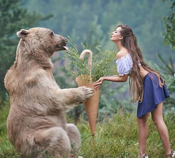 Stepan and the ladies - The Bears, Girls, Longpost, Medved Stepan