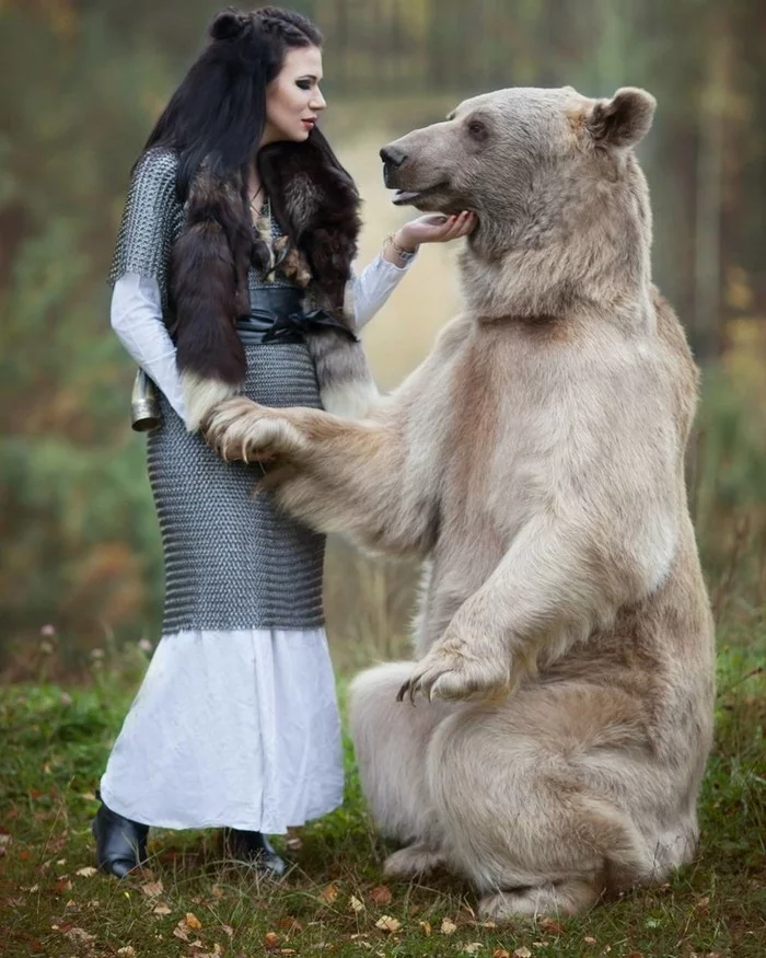 Степан и барышни Медведь, Девушки, Длиннопост, Медведь Степан