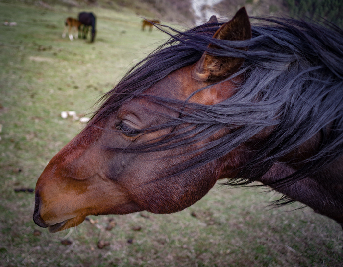 Модная прическа