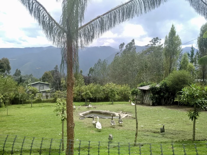 Про жизнь индейцев в Андах Эквадор, Индейцы, Анды, Жизнь в горах, Длиннопост