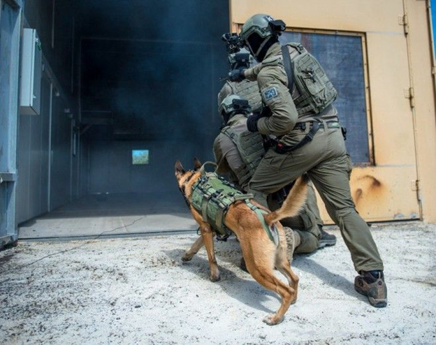 Israeli special forces war dogs - Special Forces, Israel, Dog, Service dogs, Tsakhal, Longpost