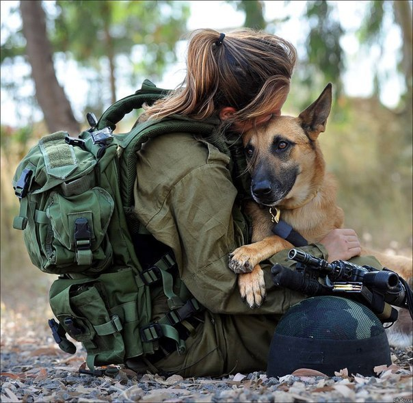 Israeli special forces war dogs - Special Forces, Israel, Dog, Service dogs, Tsakhal, Longpost