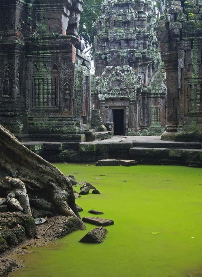 An ancient abandoned temple in Cambodia, completely inhabited by monkeys - Cambodia, Temple, Architecture, Angkor Wat